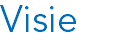 Visie
